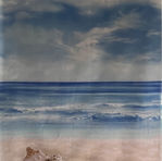 #7 seashells pan.JPG