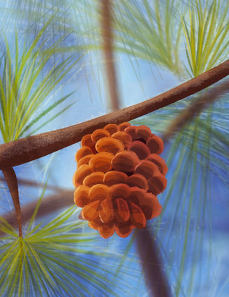 Untitled-Artwork 7.jpg