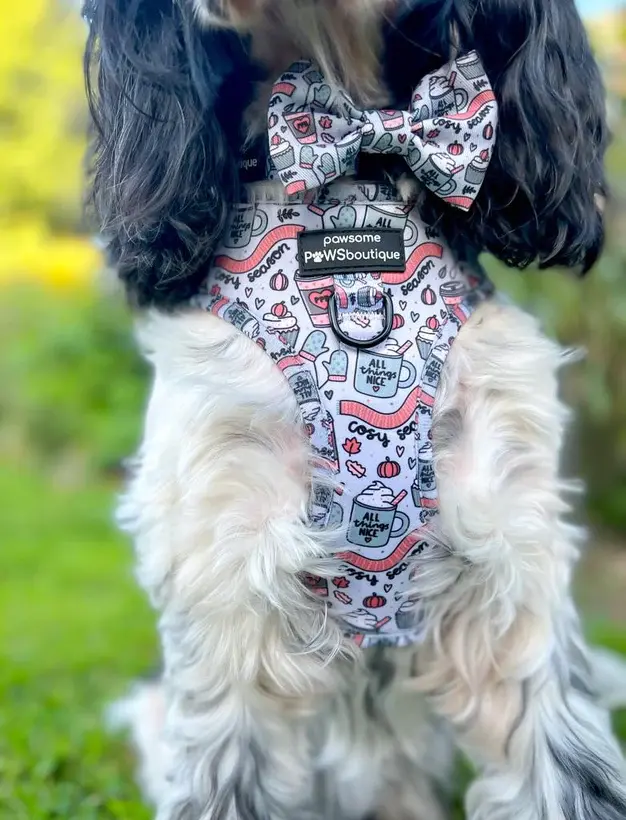 Thumbnail: Adjustable Harness - Pumpkin Spice