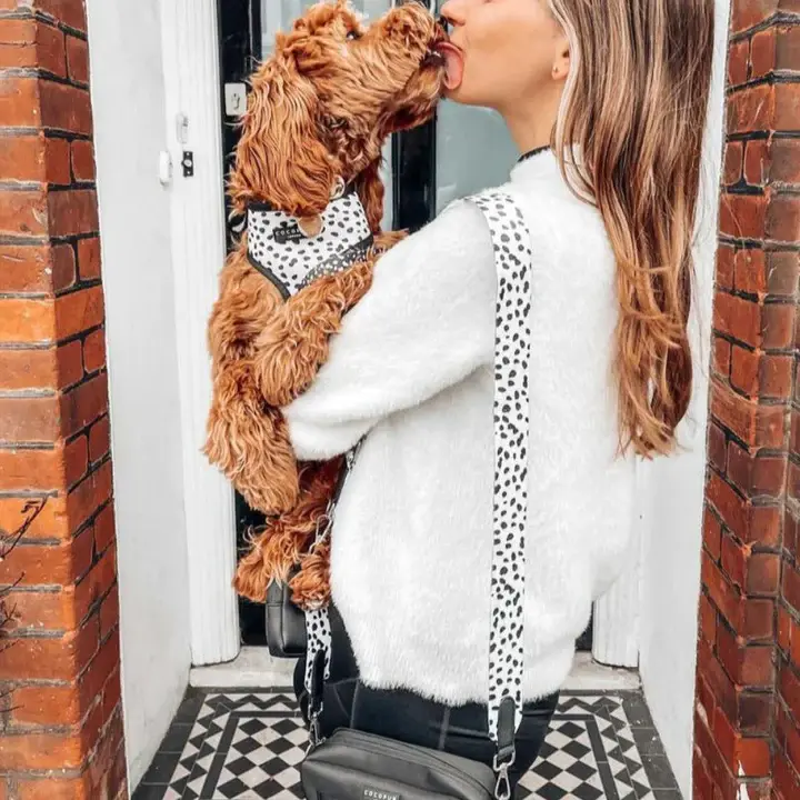 Thumbnail: Bag Strap - Monochrome Spots