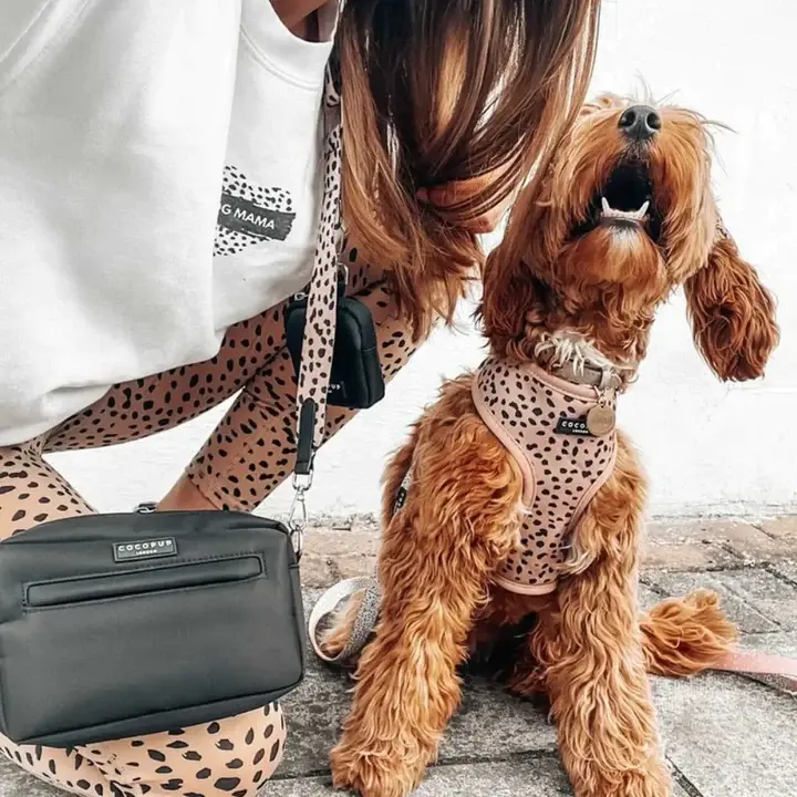 Thumbnail: Dog Walking Bag Bundle - Caramel Latte