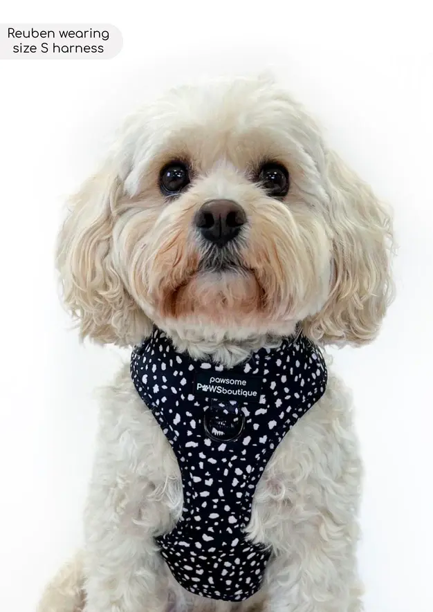 Thumbnail: Adjustable Harness - Pongo