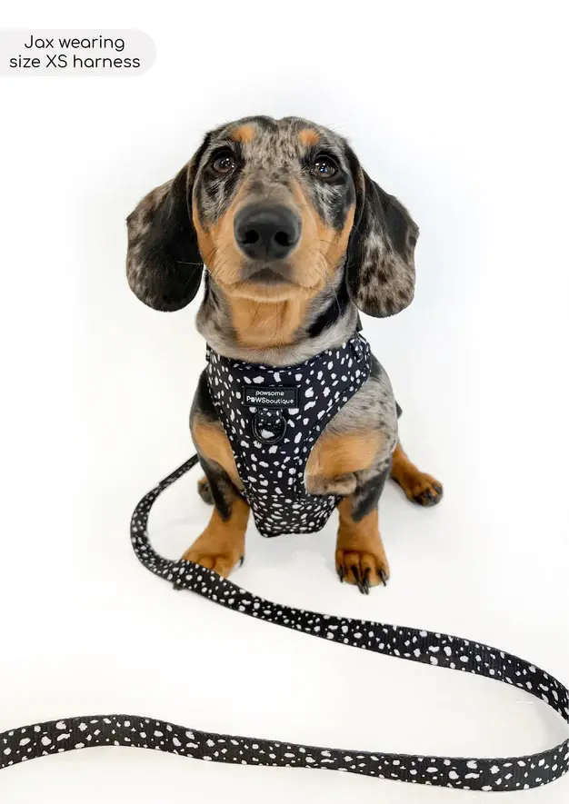 Thumbnail: Adjustable Harness - Pongo