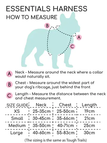 Thumbnail: Essentials Harness - Racer Blue