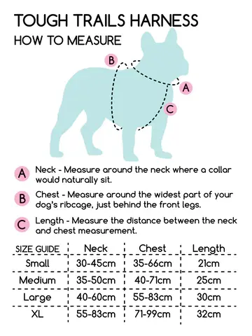 Thumbnail: Tough Trails - Tiny Diny