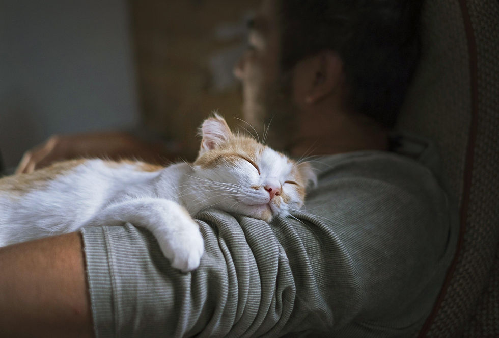 Cat snuggled with man in dark