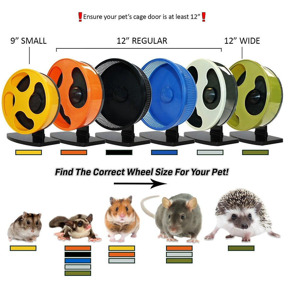 Proper wheel sizes