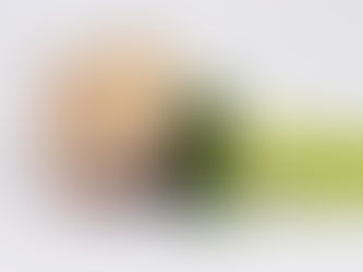 Hamster eating broccolli