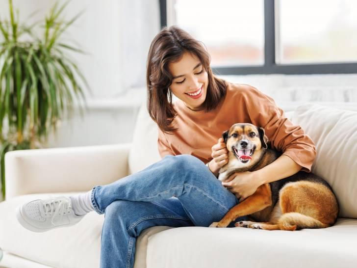 Pet sitter assessing for anxiety