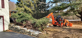 Shrub removal job dover plains