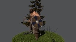 Viking complete scene