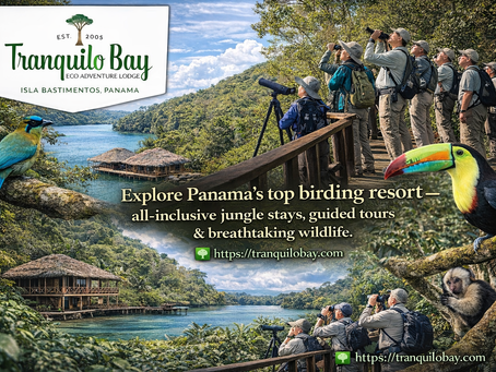 Bocas del Toro All Inclusive Resort & Birding Resort Central America
