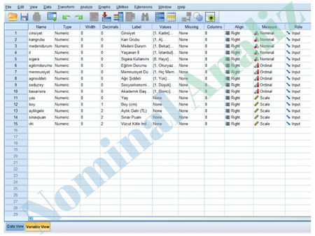 Measure (Ölçüm) Çeşitleri ve SPSS'te Variable View Kısmında Uygulamaları (15 Farklı Örnek)