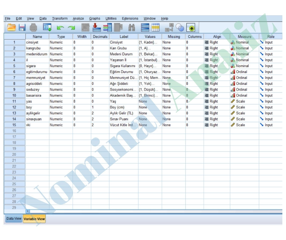 uygulamalı ordinal scale ve nominal örçek örnekleri spss veri analizi 15 farklı uygulamalı örnek
