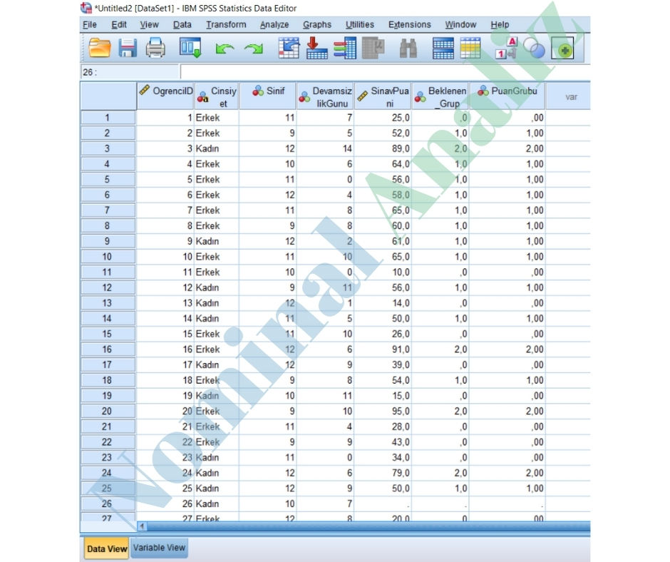 recde yeniden değişken tanımlama spss data view ekranı uygulamalı anlatım çalışması