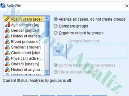 SPSS Veri Analizi Yazılımında Split File kısmı nedir ne işe yarar uygulamalı anlatım