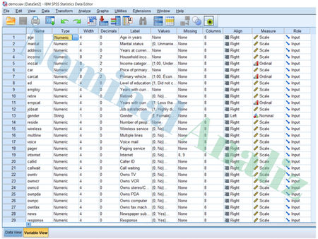 SPSS’te Değişken Tanımlama: Adım Adım Kılavuz ve Pratik Örnekler