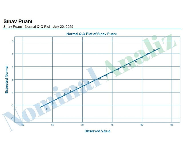 Sınav Puanı - Normal Q-Q Plot - July 20, 2025