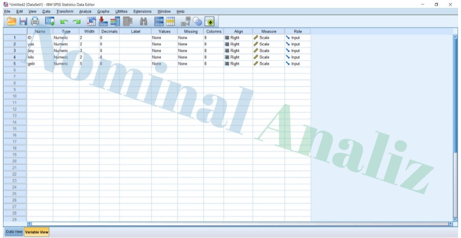 Yaş, Boy, Kilo ve Gelir İçeren 75 Kişilik Bireysel Veri Seti Variable view ekranı