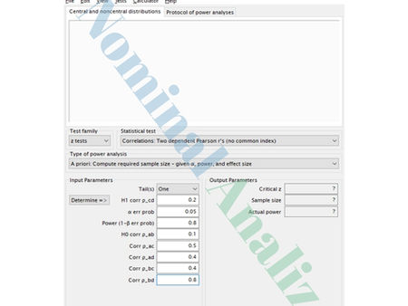 No Common Index Senaryosu g power veri girişi input parameters giriş parametreleri
