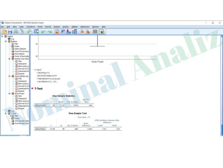 Normallik Analizine Dayalı Uygulamalı Çalışma ve SPSS ile Tek Örneklem T-Testi: Üniversite Öğrencilerinde Uyku Süresi, Sınav Başarısı ve Yaşam Memnuniyeti (n=90) İlişkisi