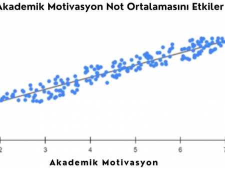 Uygulama Örneği: Akademik Motivasyon ve Başarı Grafik ve Analiz Çalışması