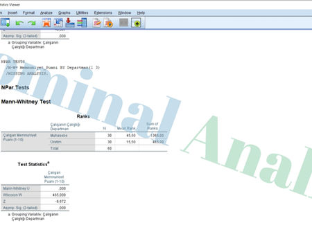 Uygulamalı SPSS Veri Analizi: Kruskal–Wallis Testi ile Departmanlar Arasında Çalışan Memnuniyet Farklılıklarının İncelenmesi