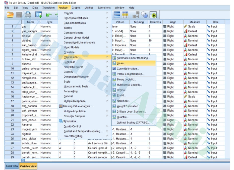 lineer regresyon analizi nasıl yapılır:? spss yazılımı üzerinden gösterimi