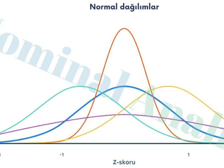 normal dağılım olasılık yoğunluğu z skoru grafik ile açıklama