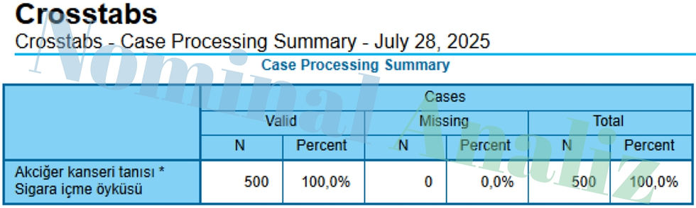 Crosstabs - Case Processing Summary - July 28, 2025