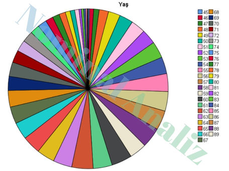 SPSS Frekans Analizi Pasta Grafiği (Pie Chart)