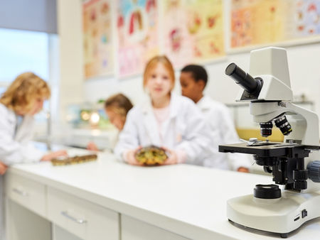 Birincil Araştırma (Primary Research) | Tanım, Türler ve Örneklerle Açıklama