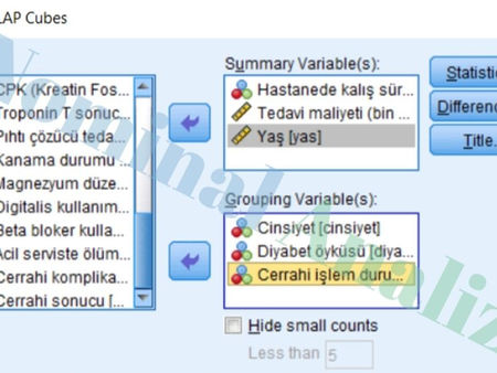 OLAP CUbes SPSS Çok boyutlu veri analizi kategori kombinasyonu ile özet istatistikler