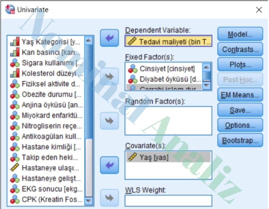 GLM Kontrast Ayarı Faktör Seviyeleri Uygulamalı Anlatım