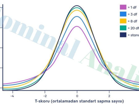 T dağılımı ve standart normal dağılım