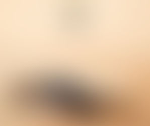 Trakya Üniversitesi – Doktora Diploması Hangi Şartlarda Verilir?