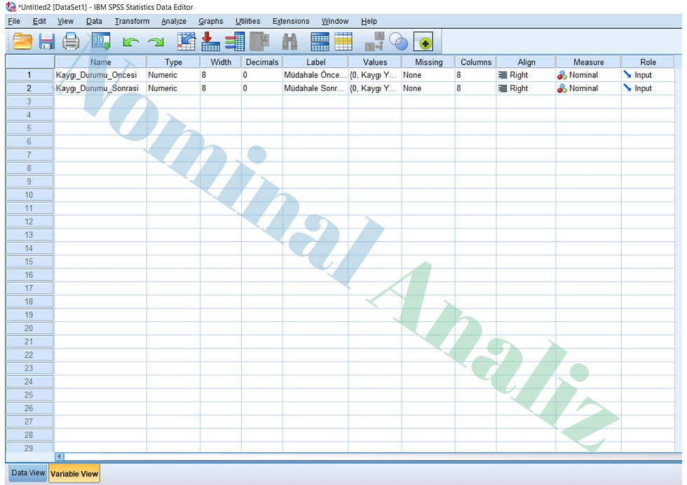 Psikolojik Ölçüm Veri Seti Değişken Tanımlama SPSS Variable View Sekmesi Nominal Değişken Örneği