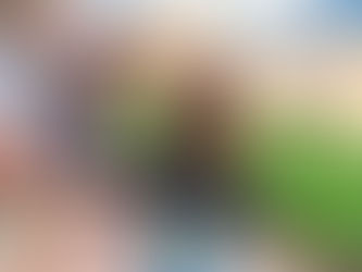 Dicle Üniversitesi – Lisansüstü Yönetmeliğinde Disiplin, Engelli Hakları ve Geçiş Hükümleri Nasıl Belirlenmiştir?