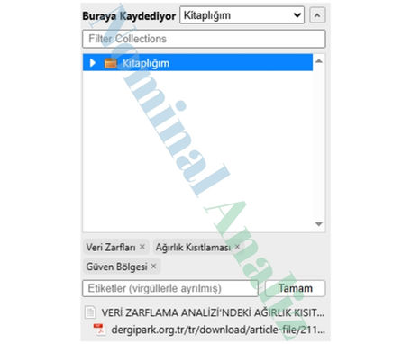 Zotero Connector Etiket Ekleme Literatür Taramasında Yardımcı Programlar