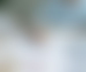 Anadolu Üniversitesi – Yüksek Lisans Tez Savunması ve Mezuniyet Süreci Nasıl Gerçekleşir?