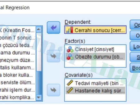 Veri Seti ile Uygulamalı Ordinal Regresyon Analizi Bağımlı, Bağımsız ve Kovaryat eş değişkenlerin seçimi ve tanımlama ayarının yapılması