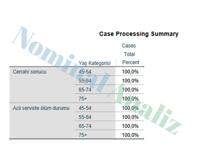 Tanımlayıcı İstatistikler Veri Keşfi Explore SPSS Veri Analizi Veri Özeti 2
