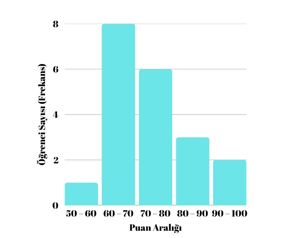 örnek veri üzerinden oluşturulmuş histogram grafiği ve yorumlanması