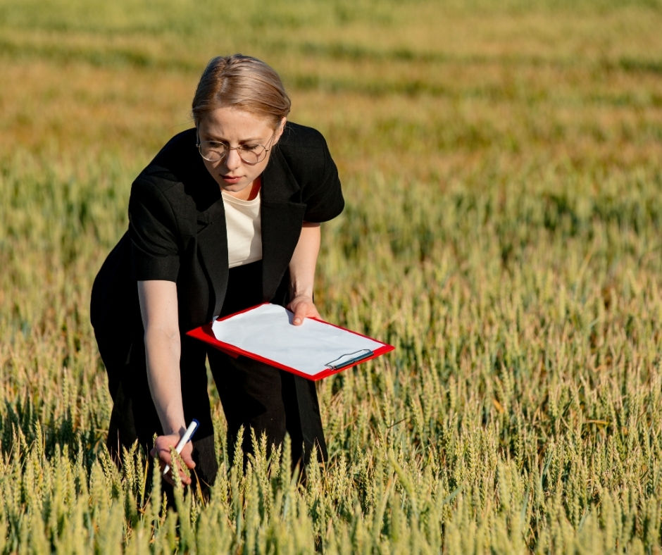 Nitel Araştırma Nedir? | Yöntemler, Analiz Süreçleri ve Örneklerle Açıklama