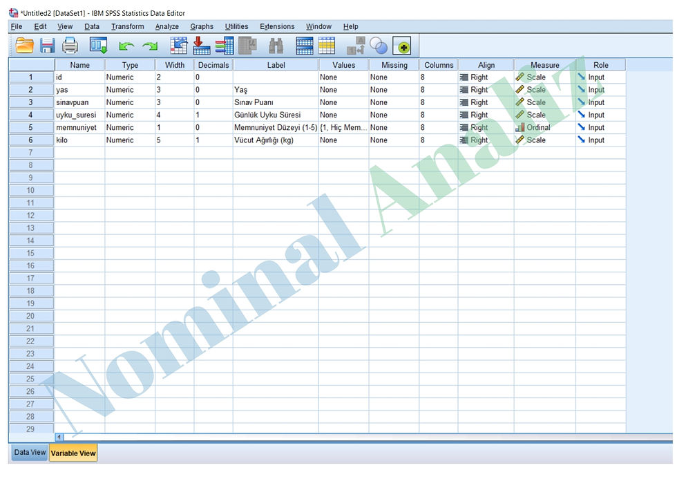 Veri setinin variable view ekranında değişken tanımlaması ise şu şekildedir tek örneklem t testi spss uygulamalı analiz ve yorumlama