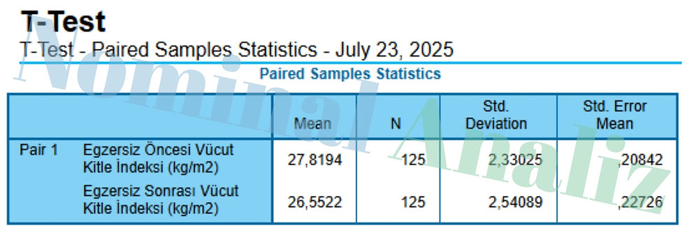 T-Test - Paired Samples Statistics - July 23, 2025
