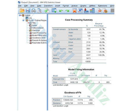 Ordinal Regresyon Çıktılarının Yorumlanması: SPSS Output Sekmesinin İşlevleri