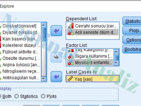 Veriyi Keşfetme: Dağılım, Uç Değerler ve Varsayım Kontrolleri – SPSS Uygulamalı Anlatım SPSS Veri Analizi Veri Değişkenini Dependent List Factor List ve Label Cases by alanına aktarma örneği ve uygulaması