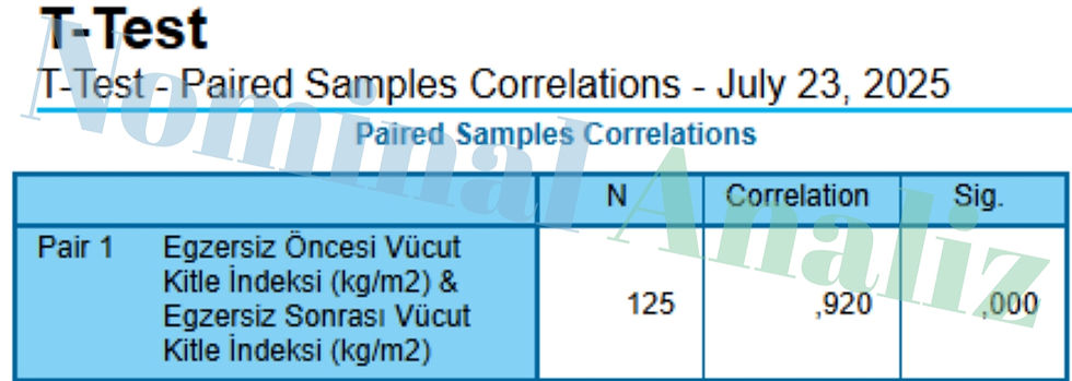 T-Test - Paired Samples Correlations - July 23, 2025