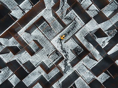 daniel-dalea-bwt0XBiKaTc-unsplash (1).jpg